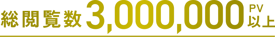総閲覧数300万PV以上